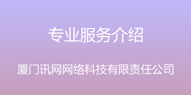 专业服务介绍 - 厦门讯网网络科技有限责任公司