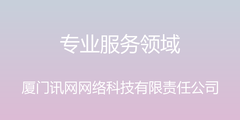 专业服务领域 - 厦门讯网网络科技有限责任公司